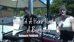 Weus'd A Herz Hast Wia Bergwerk - (Reinhard Fendrich) - Cover by The Little Button's